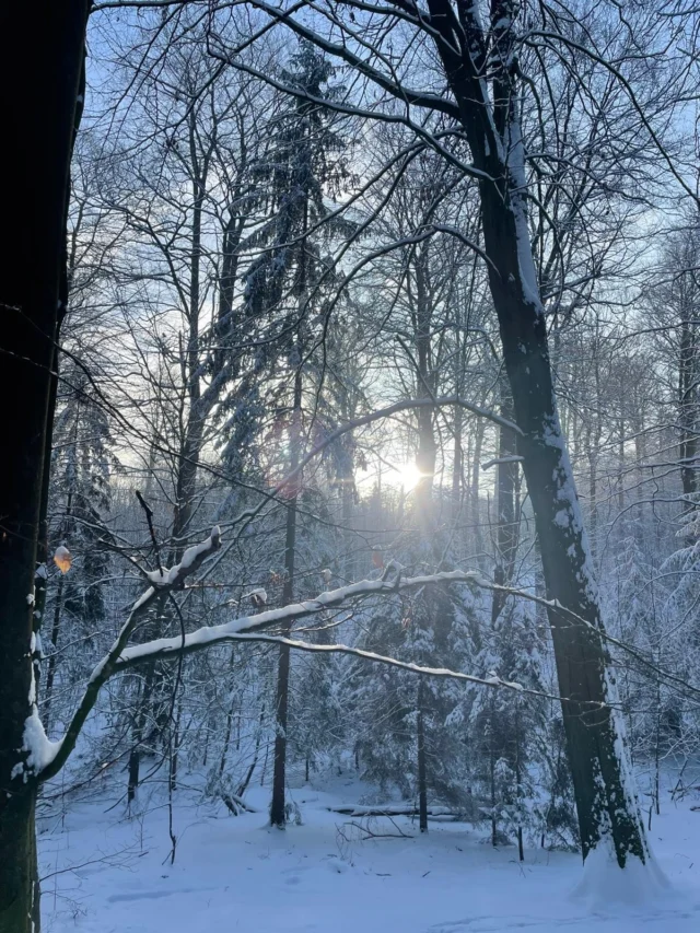 Am Dienstag wanderte die 7a durch den Deister! Nach 2h und zahlreichen Schneebällen, Schneeengeln und einigen Rutschpartien erreichten wir kaputt aber fröhlich den Nordmannsturm! ❄️🌲🥰